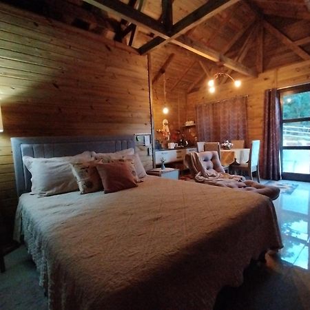 Tiny House Canjerana - Cabana Com Vista Dos Canyons Praia Grande  Esterno foto